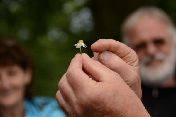 Volop lente in Beleeftuin Buiten Zinnig