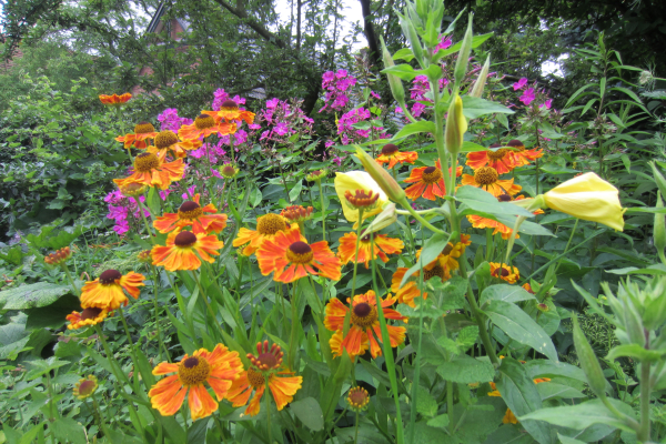 TIPS voor een bodem vol leven