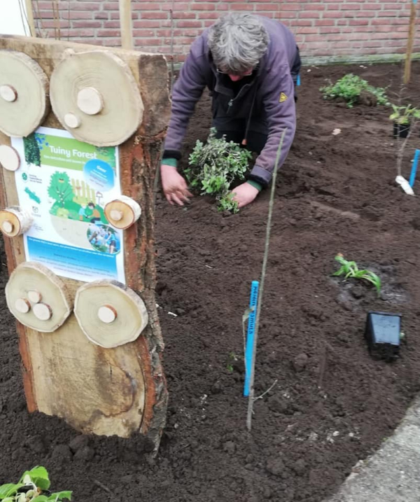 Aanplant tiny forest in Goor