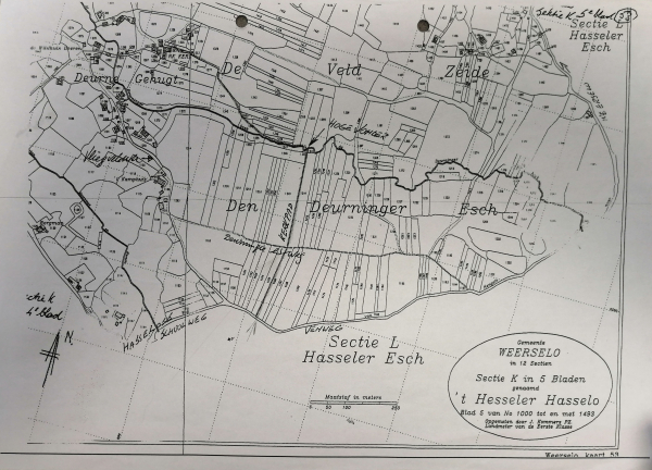 Deurninger Es voor de ruilverkaveling
